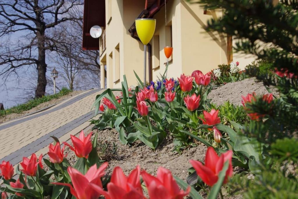 Apartament Zacisze Ustron Exterior photo